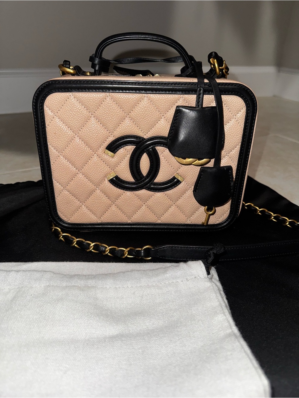 CHANEL Medium Quilted Vanity Crossbody Bag with Gold Hardware - Picture 2 of 11
